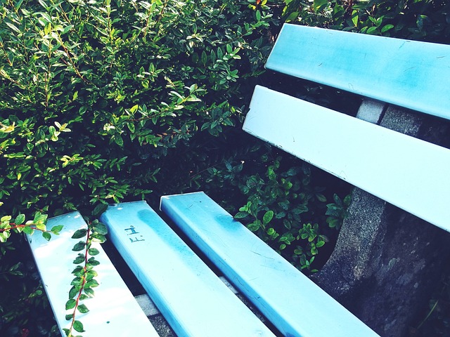 丰富多彩的 丰富多彩的