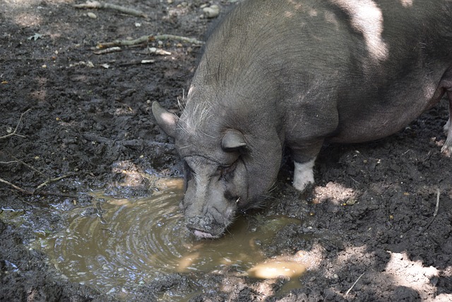 会跟随下降 会跟随下降