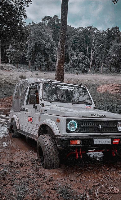 三分球和篮 三分球和篮