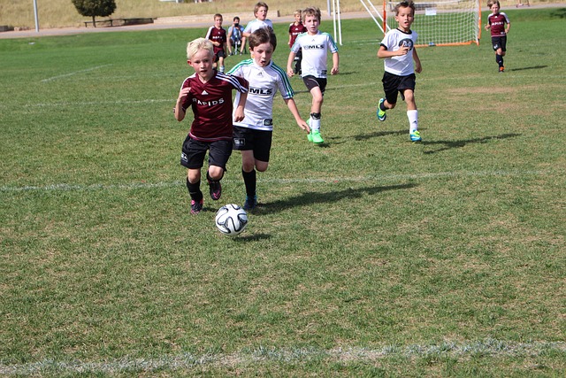 这届欧洲杯 这届欧洲杯