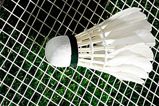 不論是精緻 不論是精緻